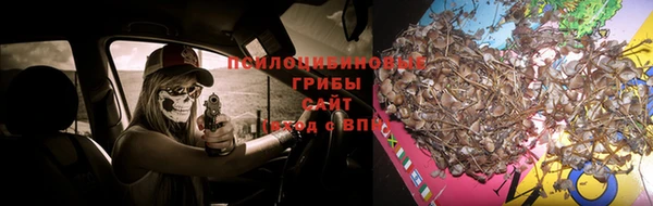 не бодяженный Абинск