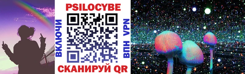 mega как зайти  Щёлково  Галлюциногенные грибы Cubensis 
